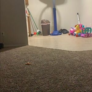 Meet your Posher, Keshia